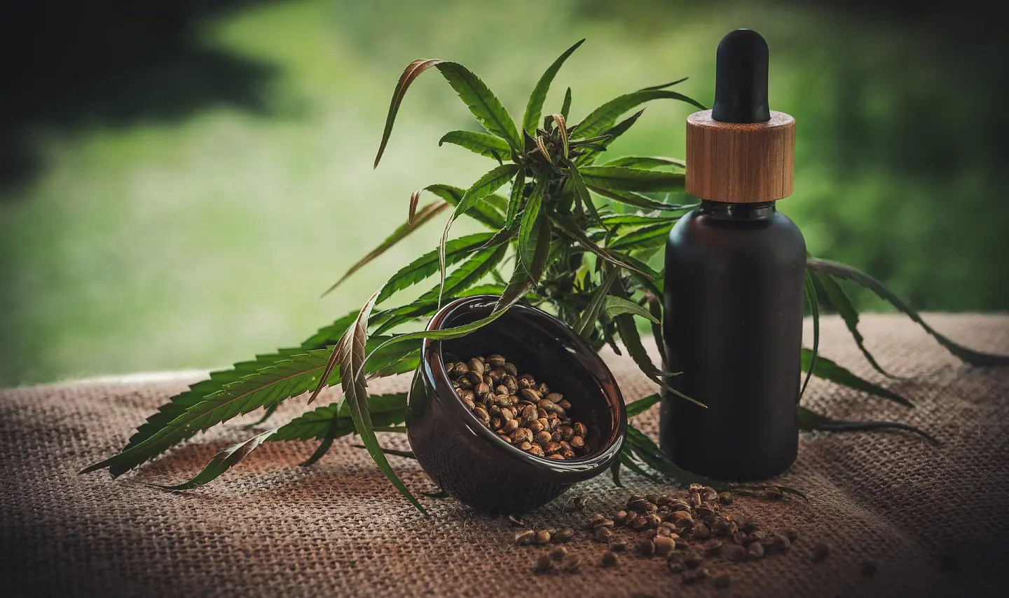 A Complete Guide To Cannabis Content Marketing