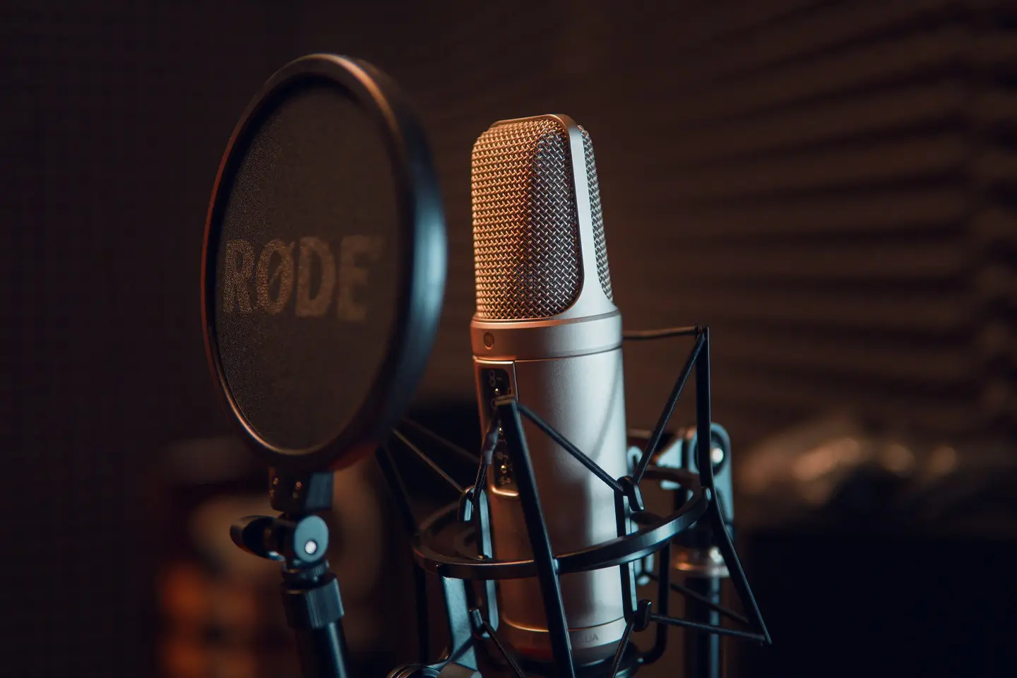 In this article, you'll find all about one of the first modern types of marketing, radio marketing. 